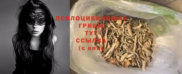 ГАЛЛЮЦИНОГЕННЫЕ ГРИБЫ Алексин