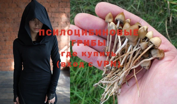 ГАЛЛЮЦИНОГЕННЫЕ ГРИБЫ Алексин