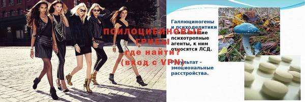 ГАЛЛЮЦИНОГЕННЫЕ ГРИБЫ Алексин