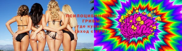 ГАЛЛЮЦИНОГЕННЫЕ ГРИБЫ Алексин