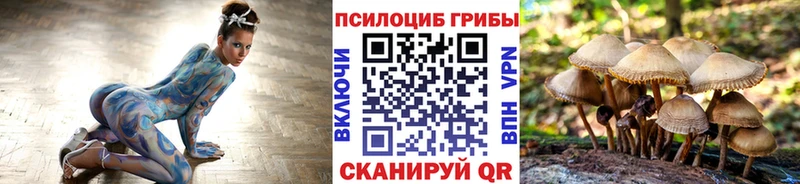 Галлюциногенные грибы Psilocybe mega зеркало Починок